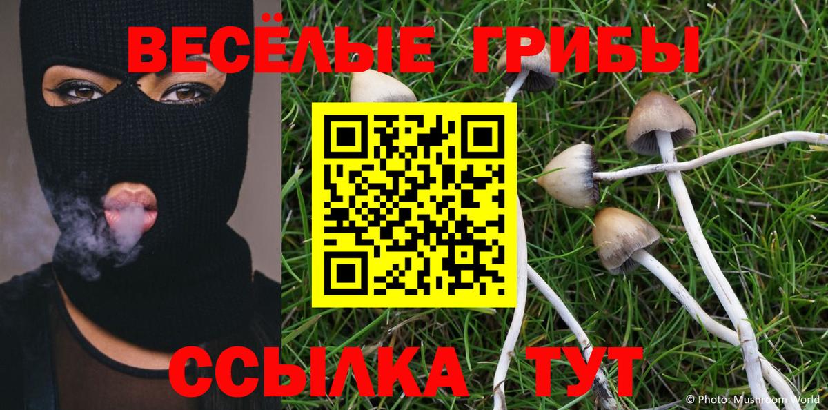 наркотики  Вход с VPN  Псилоцибиновые грибы мицелий  Малоярославец  Галлюциногенные грибы мухоморы 