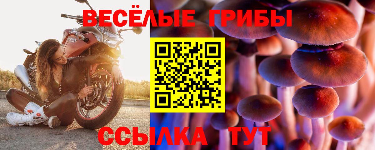 Псилоцибиновые грибы мухоморы Малоярославец