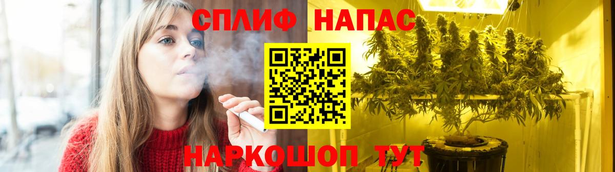 Бошки марихуана планчик  Марихуана план  Малоярославец  МАРИХУАНА Bruce Banner  Вход с VPN 